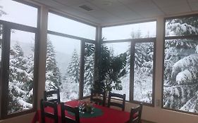 Genco Hotel Mountain View