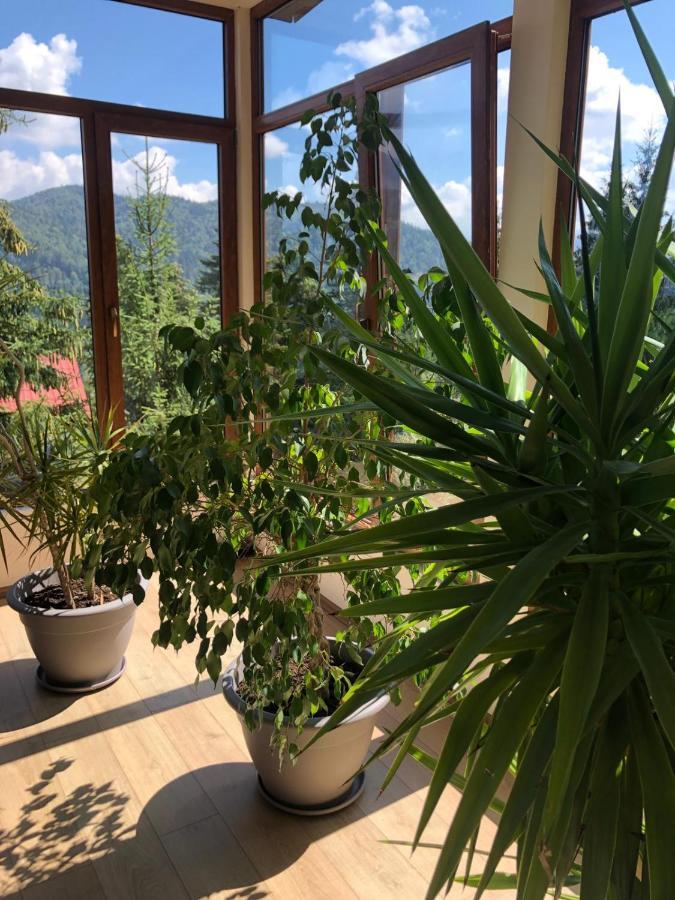 Genco Hotel Mountain View Predeal Esterno foto