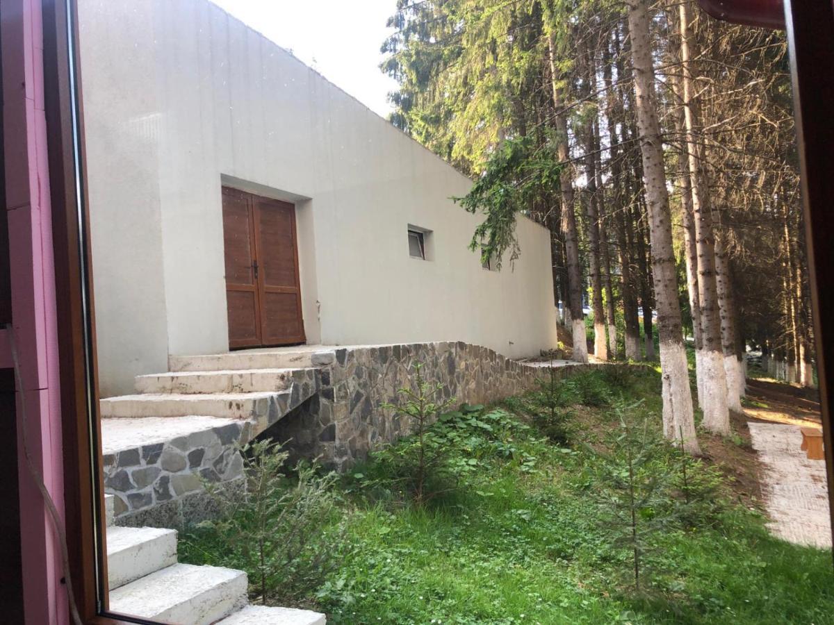 Genco Hotel Mountain View Predeal Esterno foto