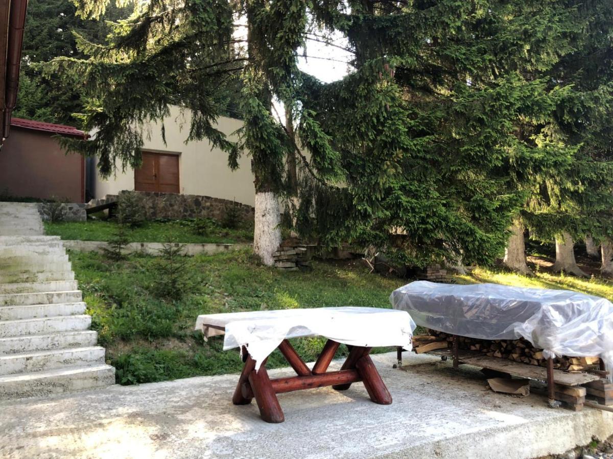 Genco Hotel Mountain View Predeal Esterno foto