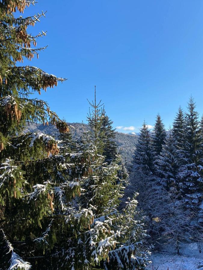 Genco Hotel Mountain View Predeal Esterno foto